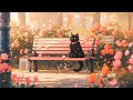 Lofi with my cat  lofi for cats  spring is coming spring lofi hiphop beats  relax music