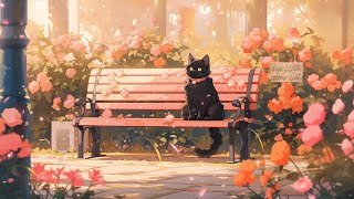 Lofi With My Cat || Lofi for Cats  Spring is coming Spring LoFi hiphop beats ~ Relax Music