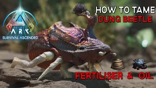 Ark Survival Ascended | How To Tame DUNG BEETLE - Passive Oil and Best way to get Fertiliser!