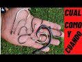 TUTORIAL de ANZUELOS para la PESCA, CUAL ANZUELO USAR CUANDO Y COMO !