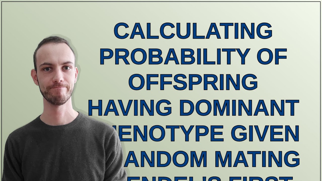 Codereview: Calculating probability of offspring having dominant ...