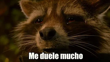 ¿Por qué Groot llamó papá a Rocket?