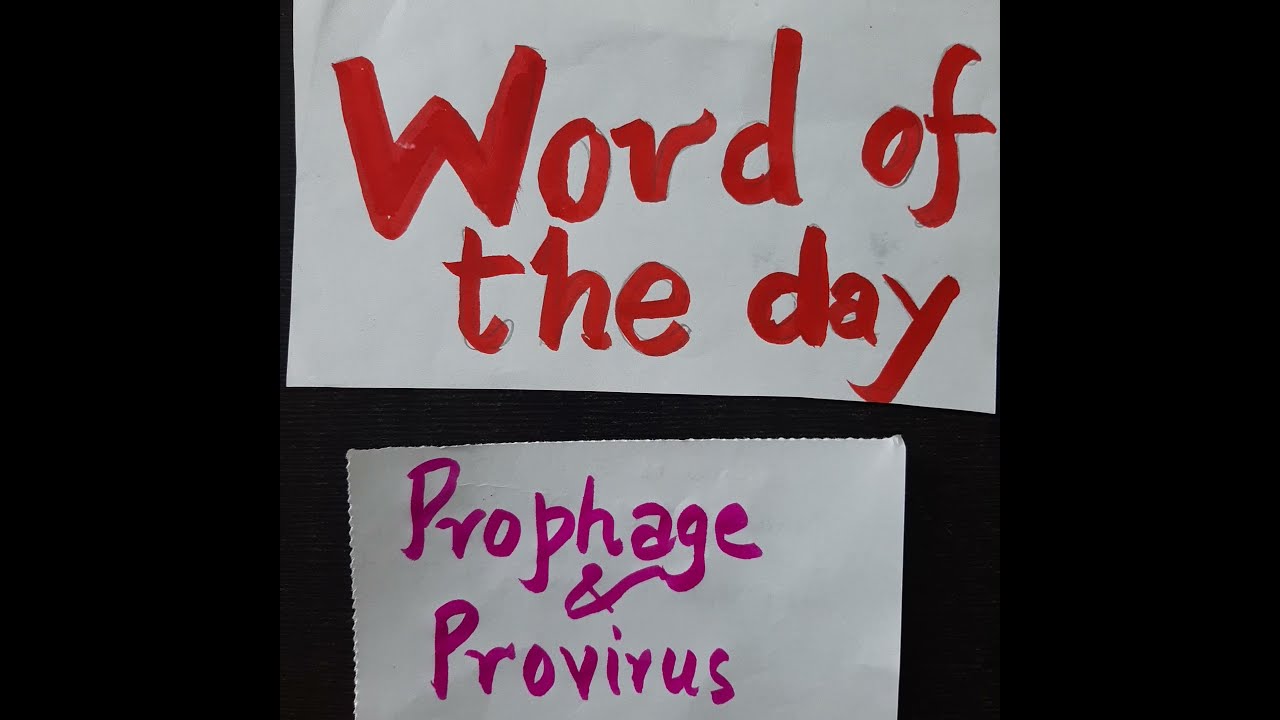#Prophage #Provirus #Biologyshorts #Biology Vocabulary