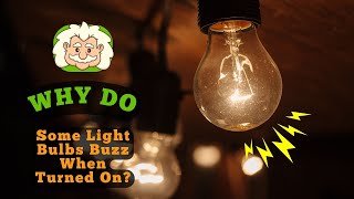 Athlete Statistics Why Do Some Light Bulbs Buzz When Turned On? The Hum Behind the Glow