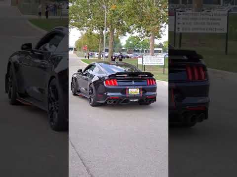 Shelby GT500 in Detroit 🏎️