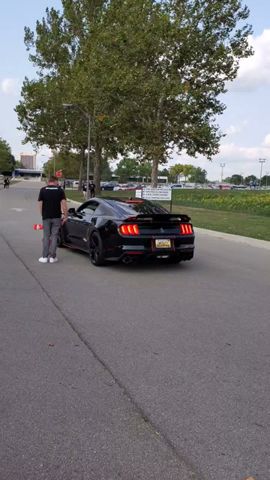 Shelby GT500 in Detroit 🏎️