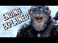 War for the Planet of the Apes Ending Explained