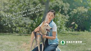 Be a responsible owner   Vaccinate and license your dog