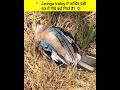 😨 Assam की इस Valley में रात होते ही क्या होता है?
