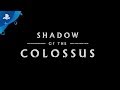 New 'Shadow of the Colossus' trailer shines a bright ray of hope into our dark world