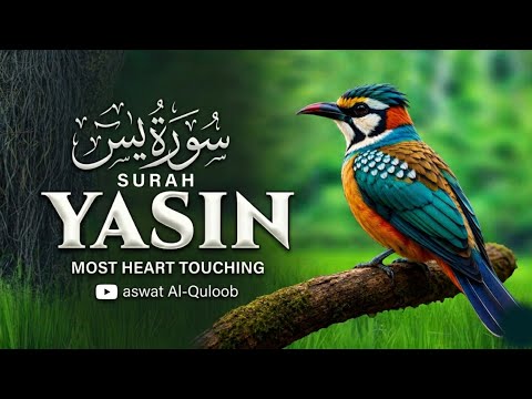 Surah Yaseen 😢🤍 | A Heart-Melting Recitation That Brings Peace to the Soul | Ashraf Hussain