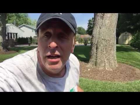 While My Ride-On Gently Cuts | Vic DiBitetto