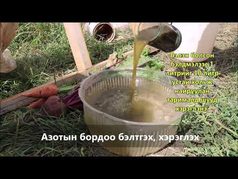 Видео: Nitroammofosk: Azofosk бордооны найрлага, гүзээлзгэнэ болон бусад ургацад хэрэглэх заавар. Нитрофоскагаас ялгаа