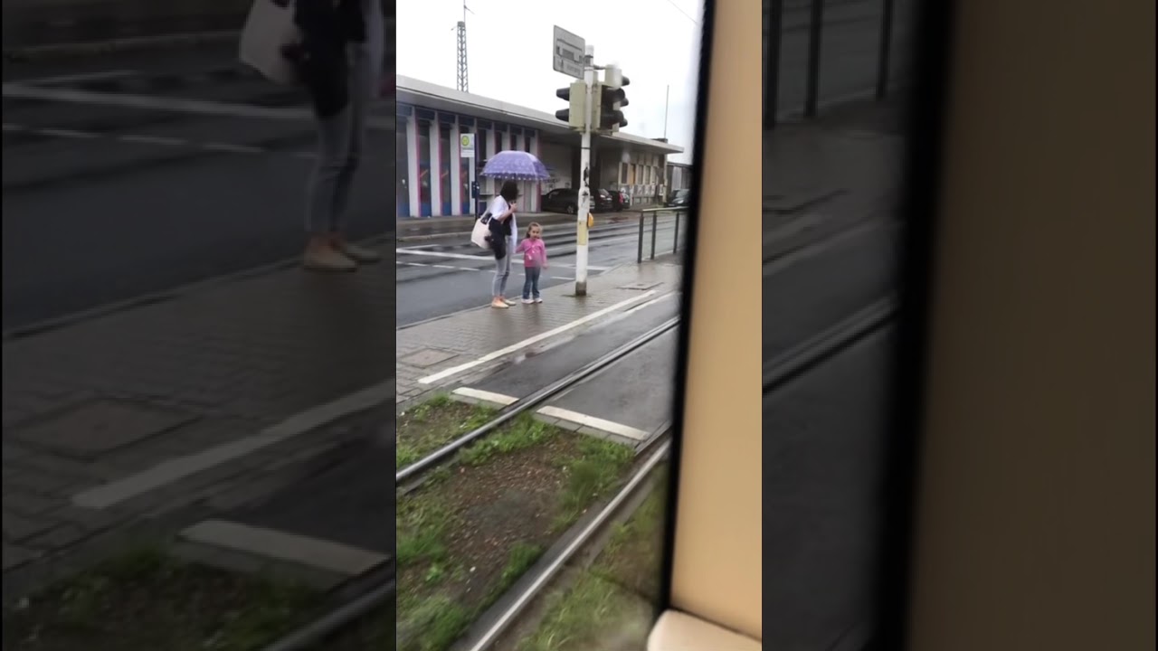 Straßenbahn Mannheim Linie 1: Hochschule Mannheim - Rheinau Karlsplatz 