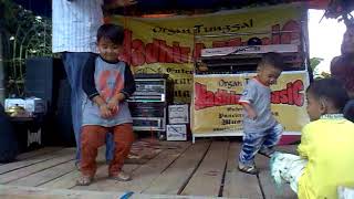 nangcik tebo. organ heboh