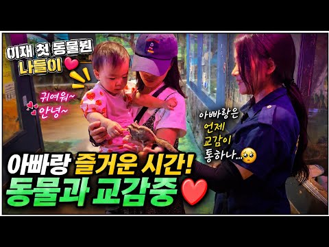 [Yang-shin's Parenting Blog] Yang-shin's trip to the zoo with Lee-jae ~~ The list of places we ne...