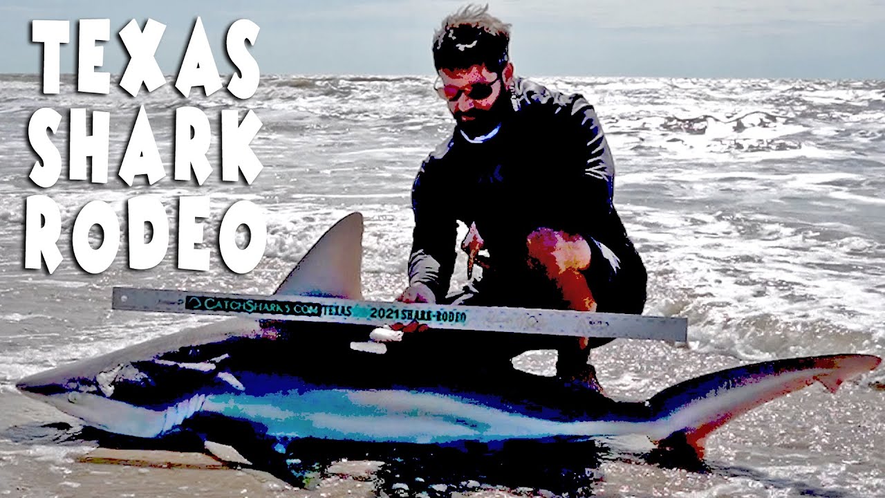 Matagorda Texas Surf Fishing (Shark Fishing) Day 2 Texas Shark Rodeo ...