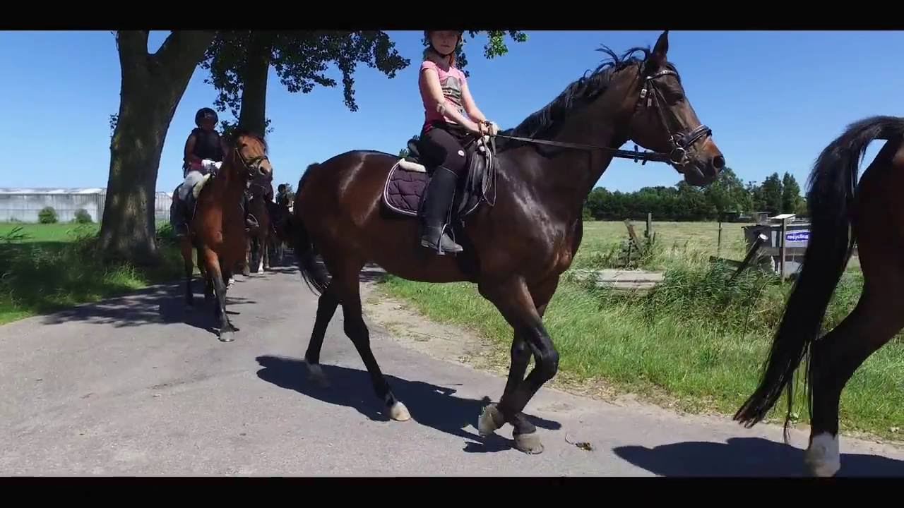 Ponykamp Dag 1 - Manege de Steenen Kamer
