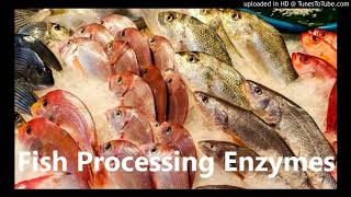 Fish Processing Enzymes Suppliers: Bromelain, Complex Proteases, etc