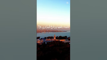 من سورة الرحمن #المصحف #اكسبلور #الرحمن
