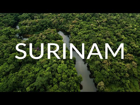 SURINAME - JUNGLE and RIVER