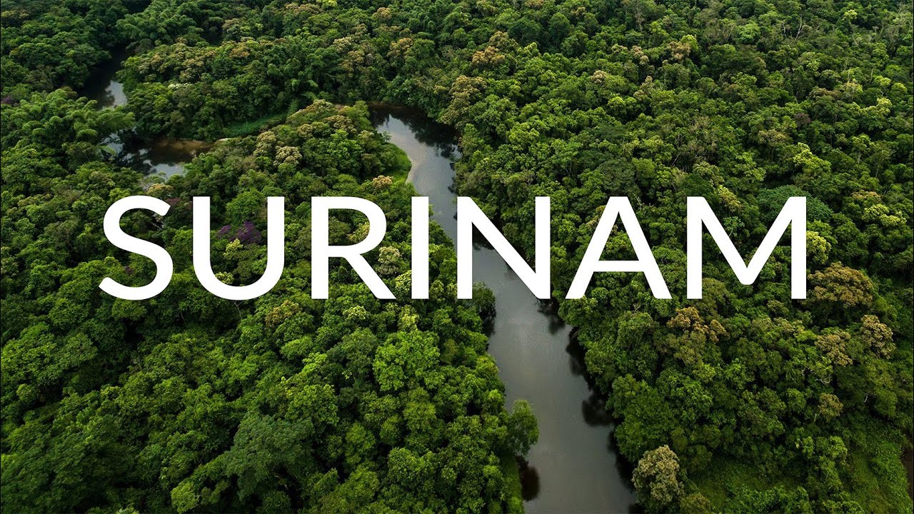 SURINAM - DŻUNGLA i RZEKA