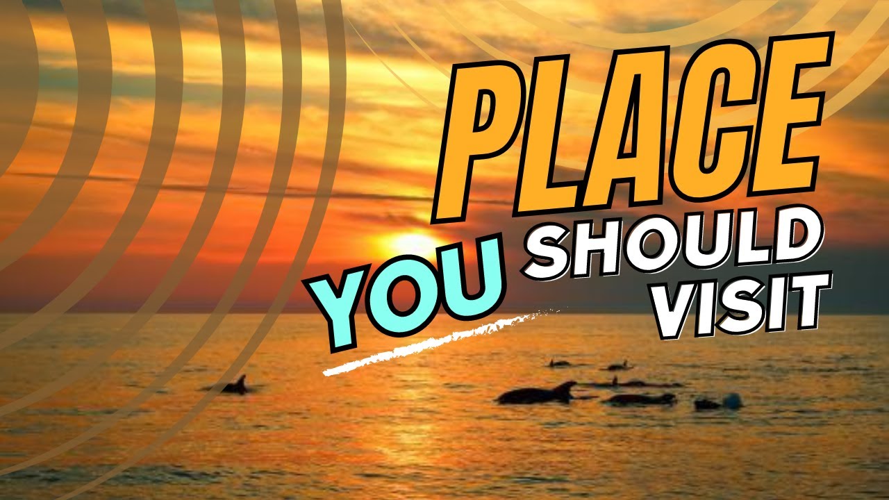 Sunset dolphin excursion with Sandra boat from Medulin -Kamenjak. Istrian boat-excursion with dinner