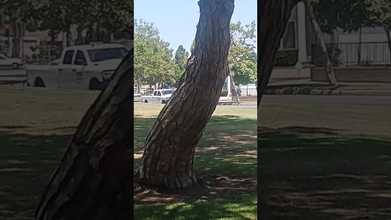 Sandpoint Park WERE I GREW UP ON THE BASKETBALL 🏀 COURT BATTLES!!!!