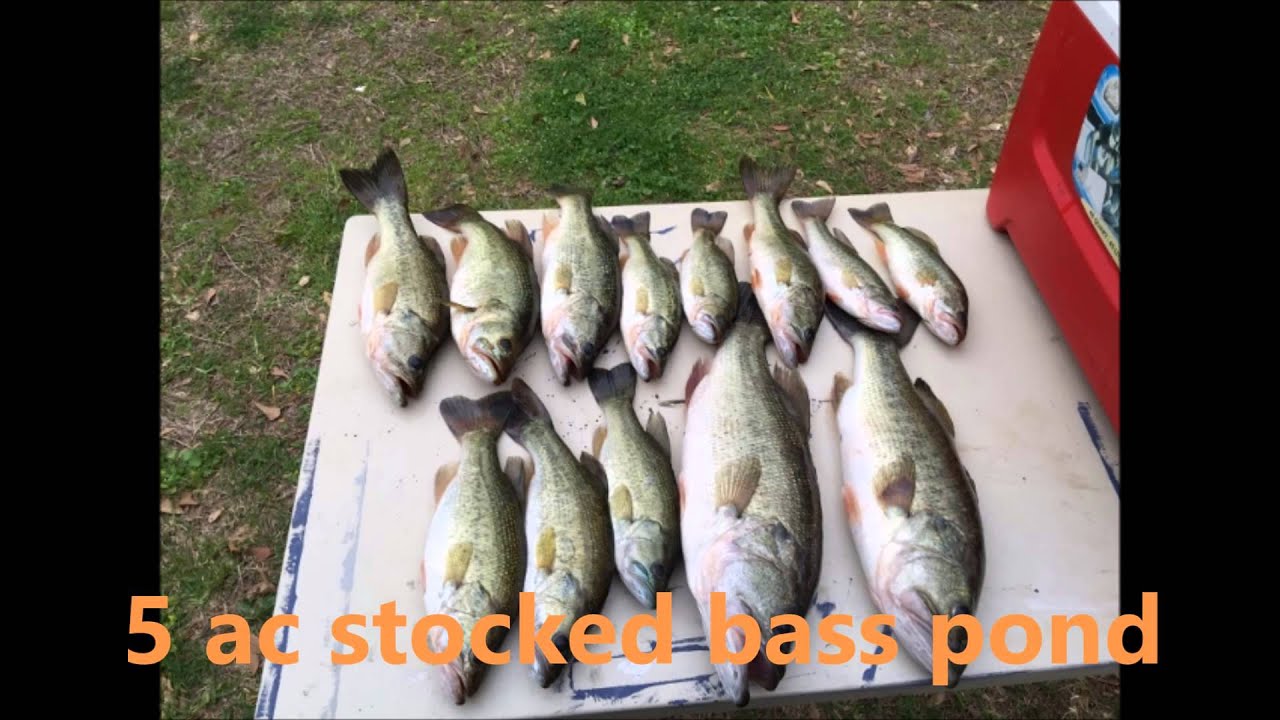 1593 ac Tensas Parish Louisiana Deer & Duck Hunting Land for Sale