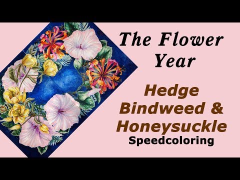 Video: Felt Bindweed