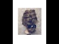ヘアスタイリスト木村一平が教える！ラフ編み込みで作るまとめアレンジ