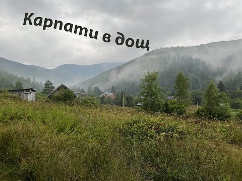Дощ в Карпатах | rainy Carpathians