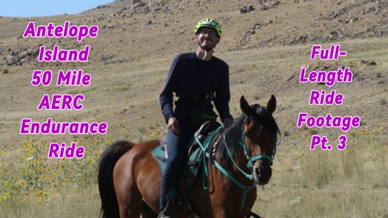 Antelope Island Endurance Ride Sept 16 2023 - AERC Full Footage (Part 3 ...