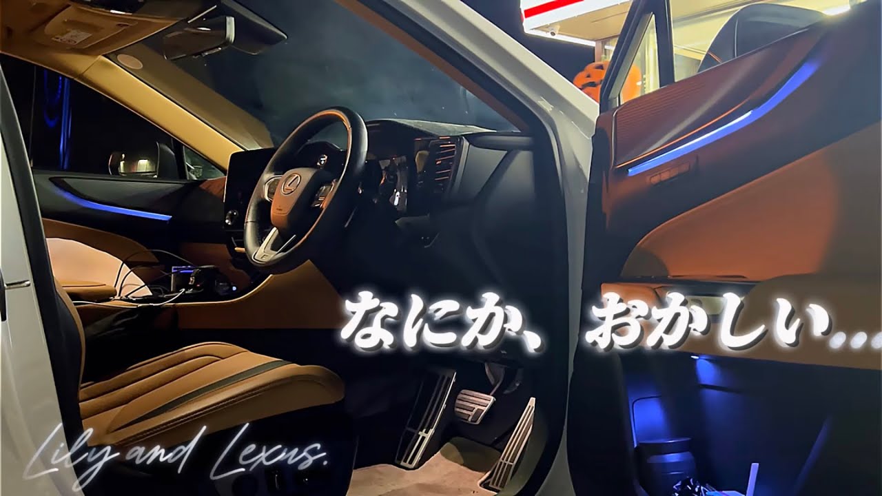 Something's wrong Late-night long-distance drive | Lexus NX