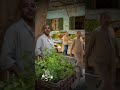صوت مصري بائع الخضار انا مصمم مش ماشي قبل ماتتكلم صوت مصري بائع الخضار انا مصمم مش ماشي قبل ماتتكلم