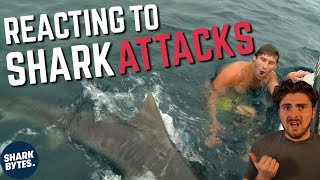Shark Scientist Reacts to SHARK ATTACK Videos: 4!