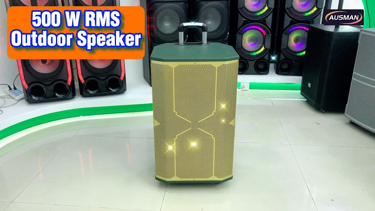 Custom 500W Outdoor Speaker System AS-1608 | China Outdoor Speaker System Factory AUSMAN