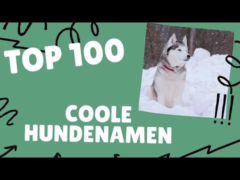 Video: Top 100 beliebtesten Namen für Hunde