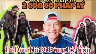 🇳🇵🇻🇳Cò Pháp Lý Bỏ Trốn Khỏi Lumbini #tuyentottinh #tuyentuktuk #thichminhtue