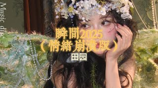 瞬間2025（情緒崩潰版）—田園「說不出口的再見轉身或許就是永遠」【動態歌詞/ PinyinLyrics】♪
