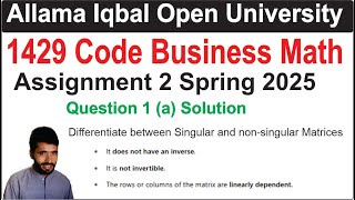 1429 Code Assignment 2 Spring 2025 Question 1 Solution