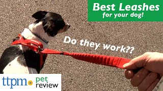 Best Leashes For Your Dog Do They Work? We Tested Them All