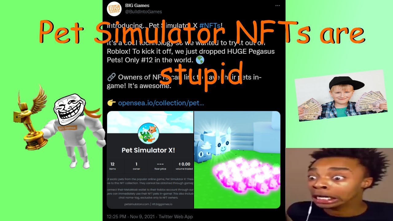 BIG Games on X: Introducing.. Pet Simulator X #NFTs! It's a cool