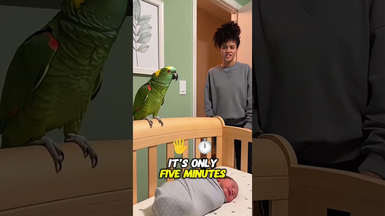 This Parrot Is a Better Parent Than Humans 😂🦜