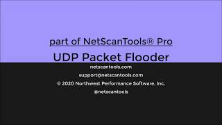 UDP Packet Flooder Overview