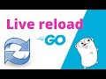 16 golang  live reloading go app