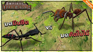 มดยีนซีด vs มดตัดใบไม้ สงครามกลางป่า - Empire of the undergrowth ไทย