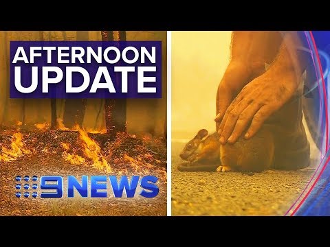 NSW Bushfires: Multiple emergency level fires burn | Nine News Australia