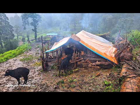 Most Relaxation & Peaceful Himalayan Village Life | Organic shepherd Food | Real Nepali Life |