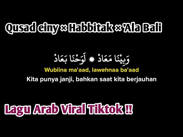 Qusad einy (wabina maad) x habbitak x ala bali (lirik arab, latin dan Terjemahan) Viral Tiktok class=